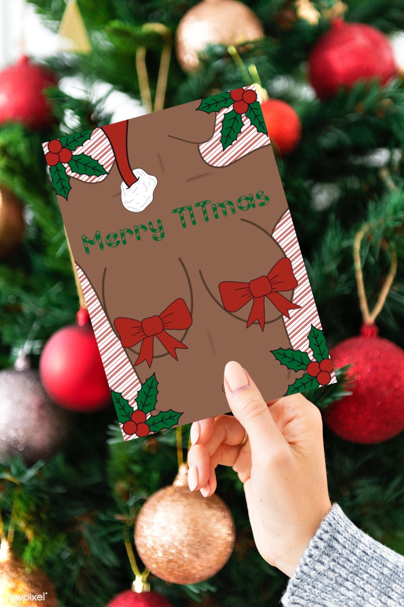 Merry TITmas Holiday Card